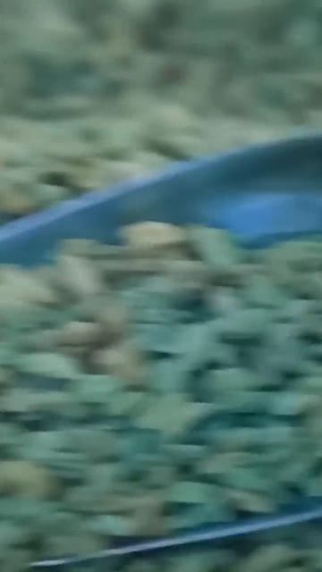 китай смотреть онлайн