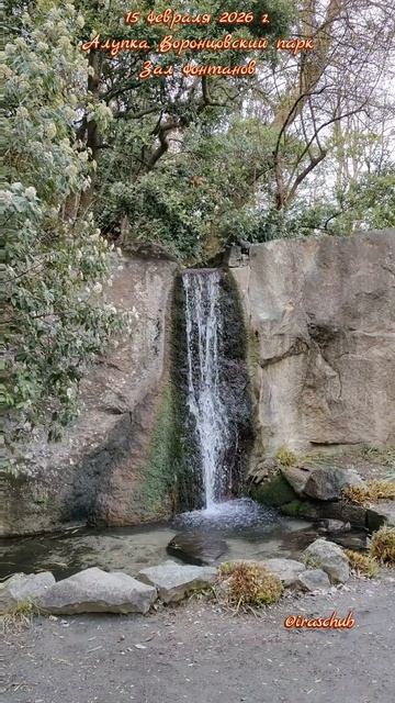 15 февраля 2026 г. Алупка. Воронцовский парк. Зал фонтанов #ялта #ялта2026 #алупка #воронцовскийпарк