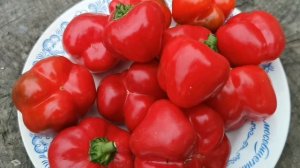 Перец для начинки Мамми Хубер -Mammi Huber's Stuffing Pepper