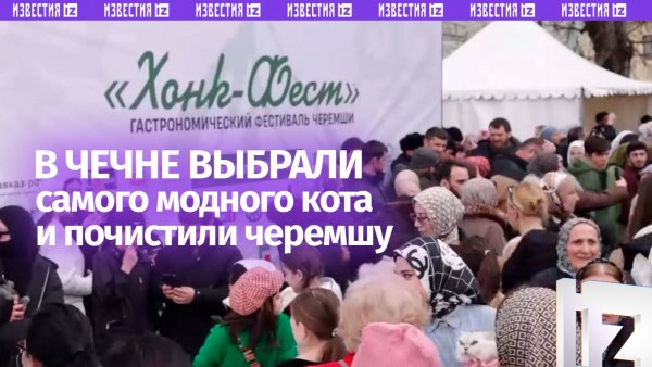 Самый модный кот и конкурс чистки черемши: в Чечне прошел пятый Хонк фест