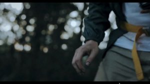 Heart of the Forest №2