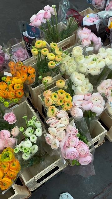 Наш День Святого Валентина получился именно таким, каким я его представляла 🤍
С утра я приготовила ф