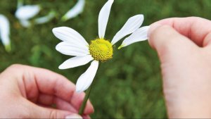 Артур Багинский - Ромашка