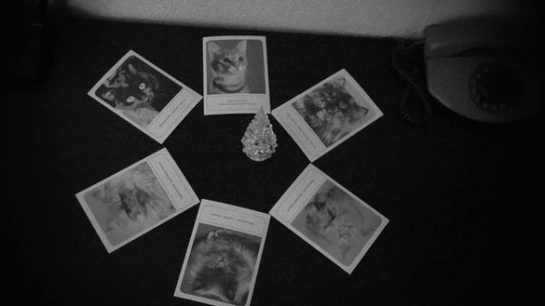 Рубиновый Вторник Одиночество