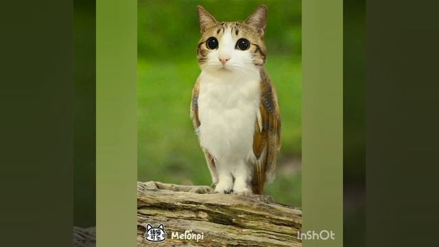 злой компот вторая часть