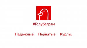 Голубеграм от МТС