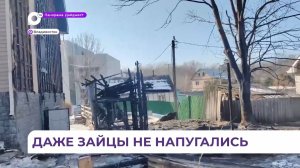 В Садгороде на территории зоопарка произошёл крупный пожар