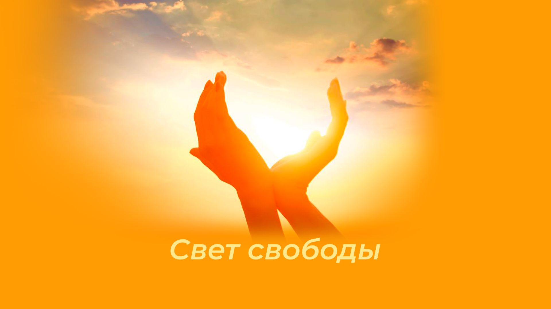 Зум встреча Свет Свободы