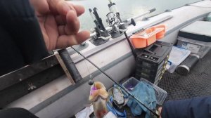 Веселовское водохранилище ноябрь