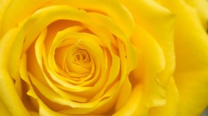 РИТУАЛ-ЧИСТКА 3 ЧАКРЫ МАНИПУРА.