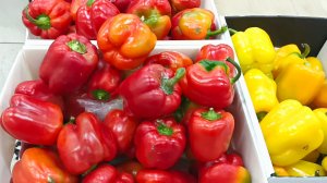 ♥️МАЯК ТОТ ЖЕ СВЕТОФОР♥️НО АССОРТИМЕНТ КУДА БОЛЬШЕ♥️февраль 2026