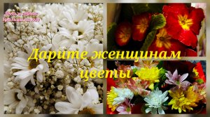 С благодарностью к вам.Идиллия.Масленица.