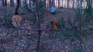 выживание в лесу ЧАСТЬ 32
