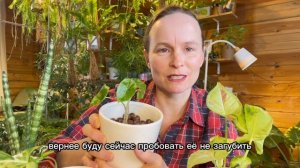 Обзор приобретений со свопа