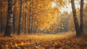 🍂 ИДЕАЛЬНЫЙ ОСЕННИЙ РЕЛАКС: Золотая медитация для души и глаз 🍂