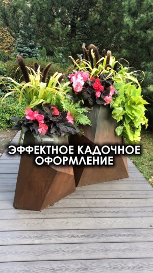 Эффектное кадочное оформление авторских кашпо