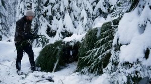 Как пережить морозную зимнюю ночь в обычном кустарниковом укрытии. Бушкрафт