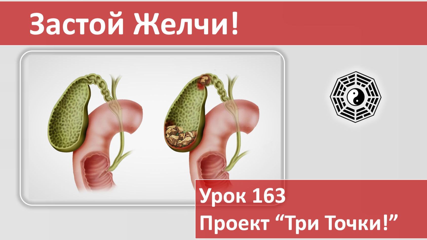 Застой желчи. Как убрать 05 смотреть онлайн