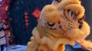 Начался фестиваль «Китайский Новый год в Москве»