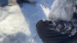 На ратлин.Спортзона