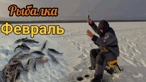 Рыба косяками! Рыбалка в глухозимье