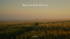 ✧ Спокойная эмбиент музыка для учебы, работы и расслабления |  Before the Birds Woke Up  | Ambient