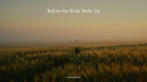 ✧ Спокойная эмбиент музыка для учебы, работы и расслабления | Before the Birds Woke Up | Ambient
