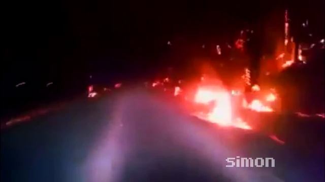 Дорога в пылающем лесу смотреть онлайн