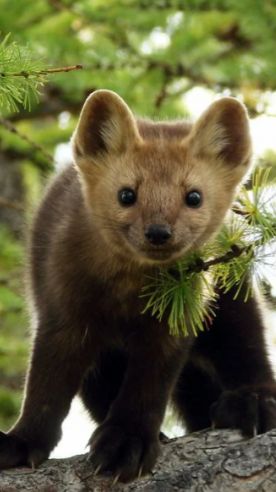 НЕ ПЕРЕВЕЛИСЬ ЕЩЁ РУКОДЕЛЬНИКИ 😂😂 смотреть онлайн