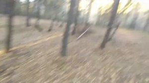 выживание в лесу ЧАСТЬ 28