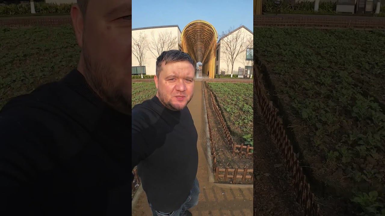 #городмечты #огородмечты