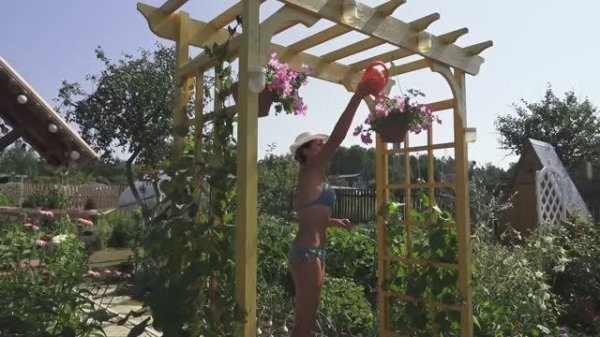 6 соток 17 июля 2021 года. Хроника.