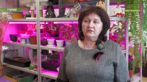 С грядки - на стол: в Горковской школе собирают агро-урожай знаний и овощей