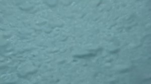 "Детская регата" 2025. Турция