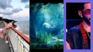 Диана Анкудинова - прогулка "Улетай на крыльях ветра" (композит)