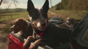 Toyota HiLux - The Pied Piper (Австралия) (2026)