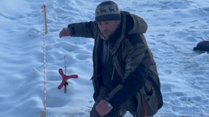 3 штуки до запуска.СЗ