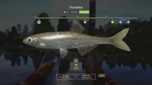 РР4 Вьюнок. Уклейка и лягушка.