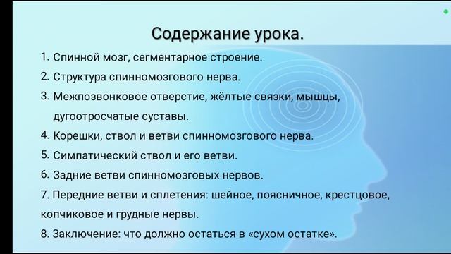 1. Содержание урока "Спинномозговые нервы".
