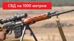 Вероятность попадания из СВД на 1000 метров по силуэтной мишени