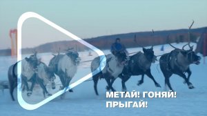 МЕТАЙ! ГОНЯЙ! ПРЫГАЙ! / Делегация компании посетила первый на Ямале День оленевода в Надыме