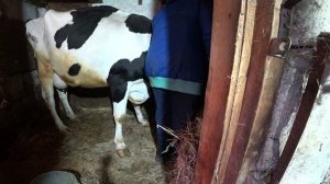 Влог от 27.03.2022