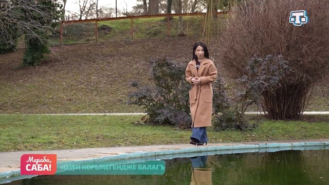 Рубрика «Фразиологизмы». Выпуск от 17.02.2026