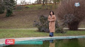 Рубрика «Фразиологизмы». Выпуск от 17.02.2026