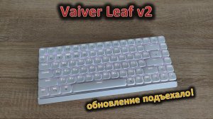 Обновление подъехало: обзор механической низкопрофильной клавиатуры Vaiver Leaf v2