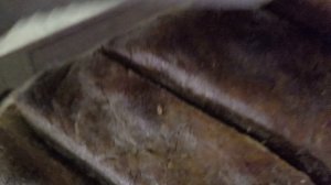 Провели мероприятие, домашние дела.