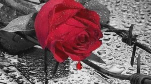 Белая птица