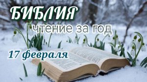 Библия - чтение за год, 17 февраля. Ежедневное чтение Библии.