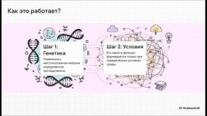2. Безусловные рефлексы