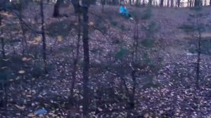 выживание в лесу ЧАСТЬ 36